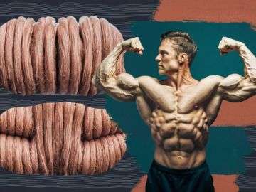 What Is Hypertrophy and How It Really Works Dr.Goshop-The Remedy for Healthy Living What Is Hypertrophy and How It Really Works?