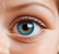 Baby Eye Color Predictor Calculator Dr.Goshop-The Remedy for Healthy Living Health Tools A-Z