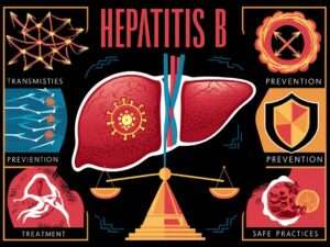 Understanding Hepatitis B Transmission, Prevention and Treatment