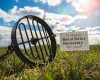 Is Heavy Metal Detox Necessary for You