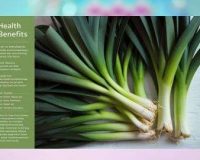 Why Adding Leeks to Your Diet Is the Key to a Healthier Lifestyle qm6ku87sel2z7uk8wj71jow7zj3ucyu18o6wptfhog Dr.Goshop-The Remedy for Healthy Living Home