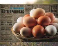 Why Adding More Eggs to Your Diet Could Prevent Osteoporosis Dr.Goshop-The Remedy for Healthy Living Home